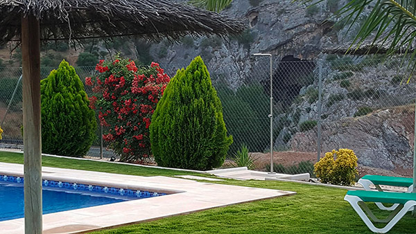 Garden and Swimming Pool